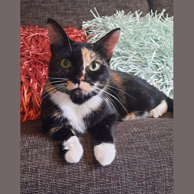 Photo of Sophie