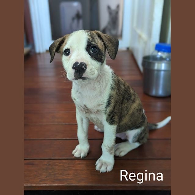 Photo of Regina