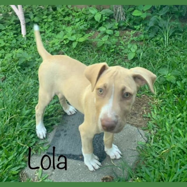 Photo of Lola