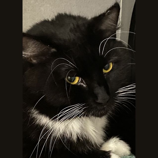Photo of Lola