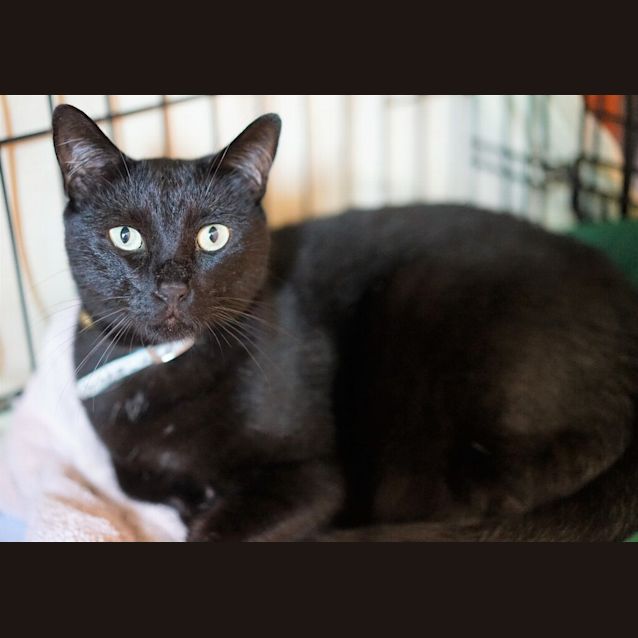 Photo of Otis