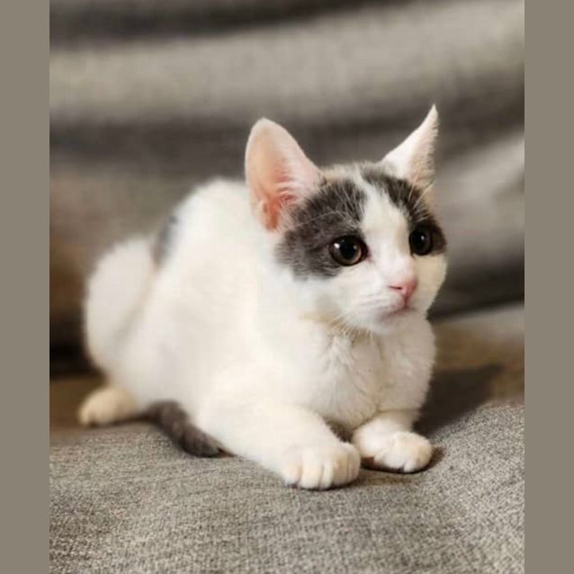 Photo of Kiki