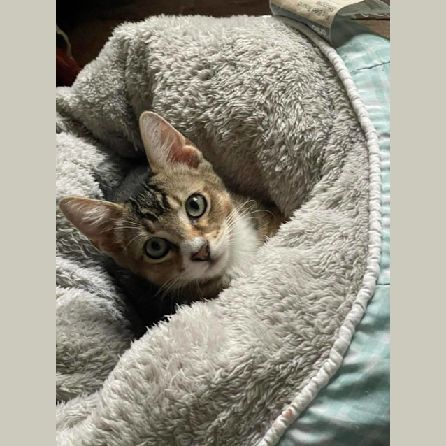 Photo of Milo 