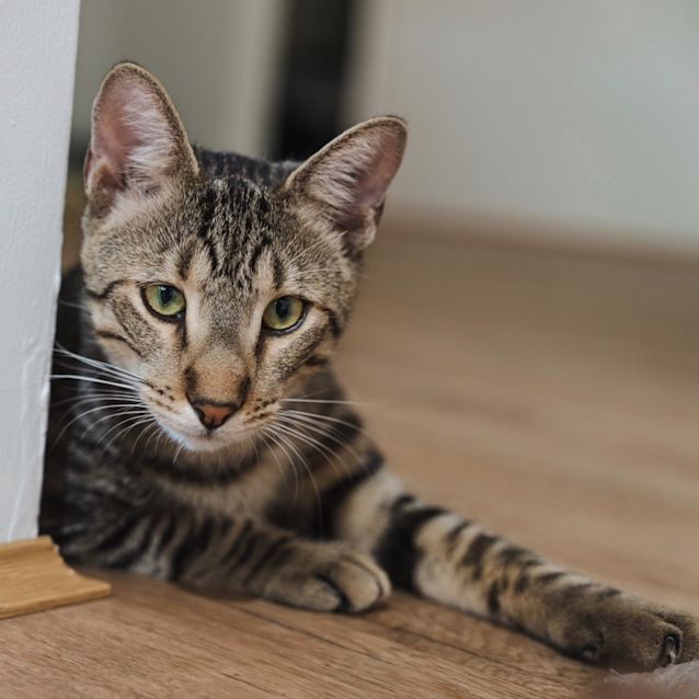 Photo of Leon