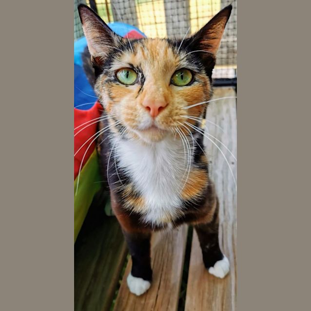 Photo of Bimimi