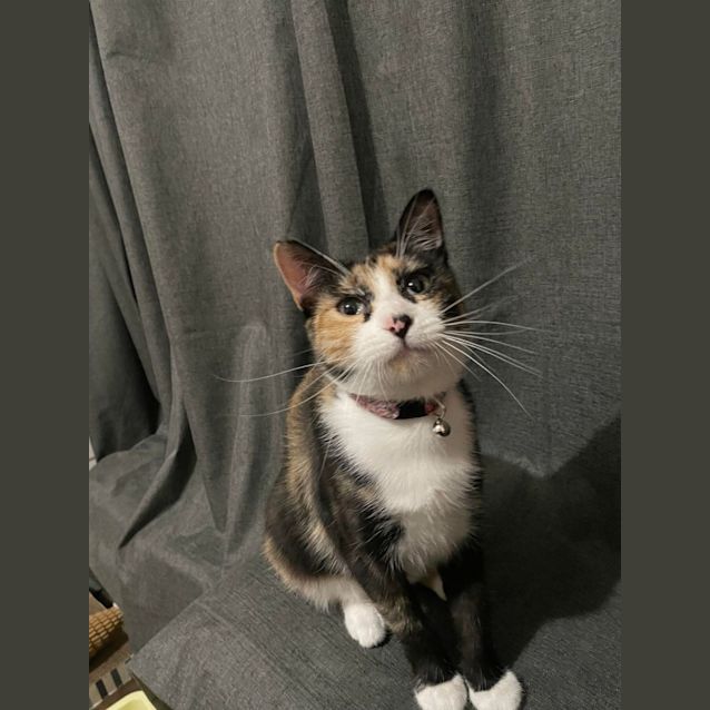 Photo of Sasha