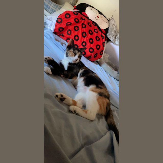 Photo of Sasha