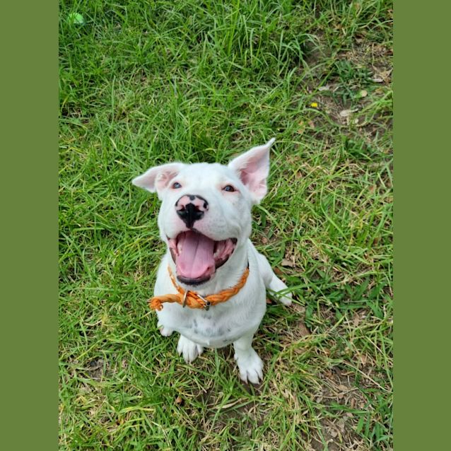 Photo of Tofu