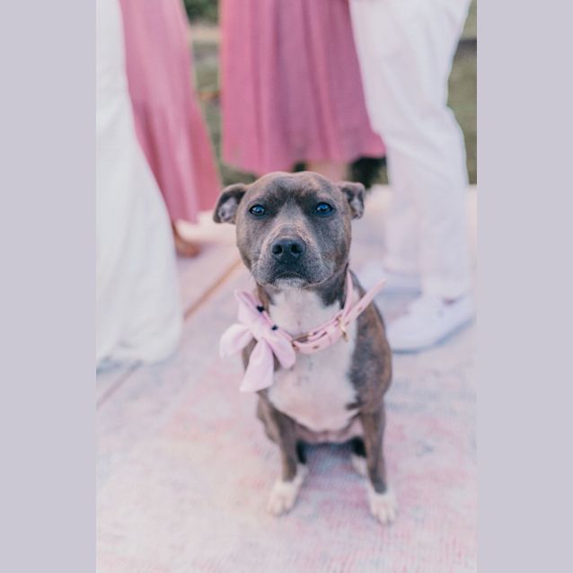 Photo of Zola