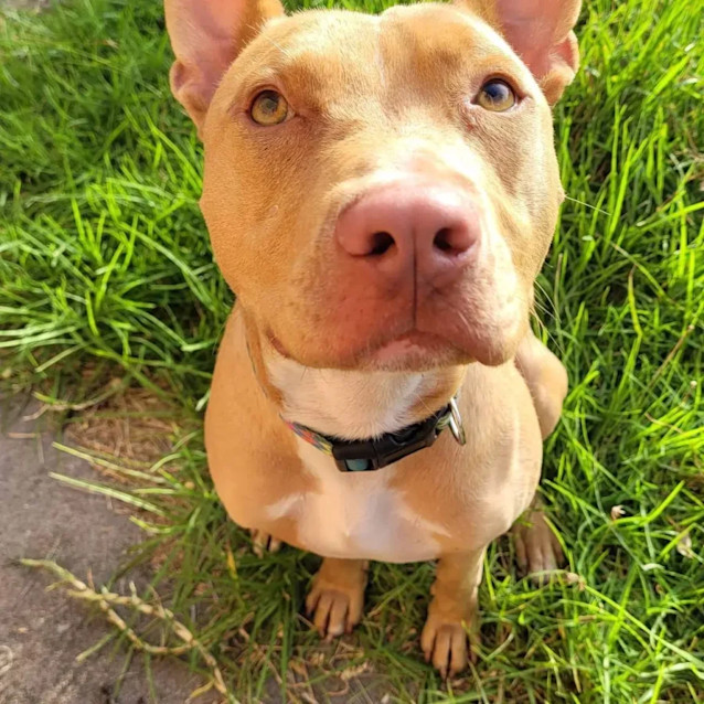 Photo of Murphy