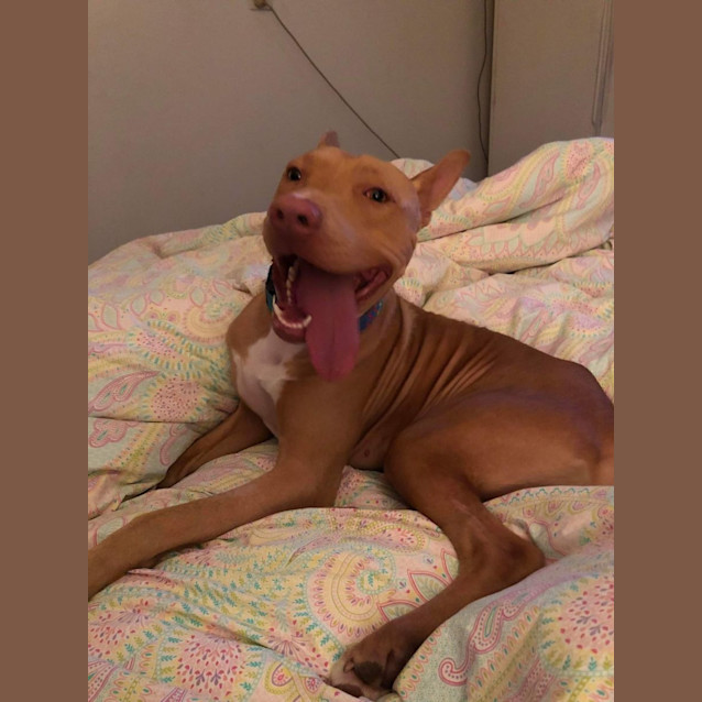 Photo of Murphy