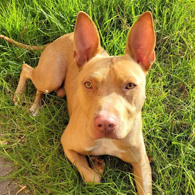 Photo of Murphy