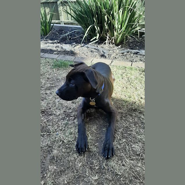 Photo of Duro