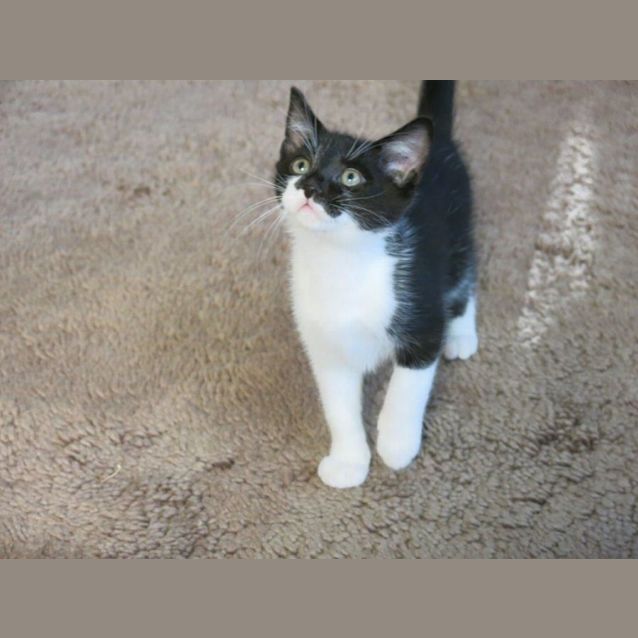 Photo of Pugsley   Located In Preston 