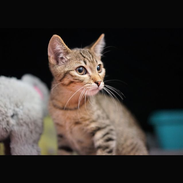 Photo of Monty