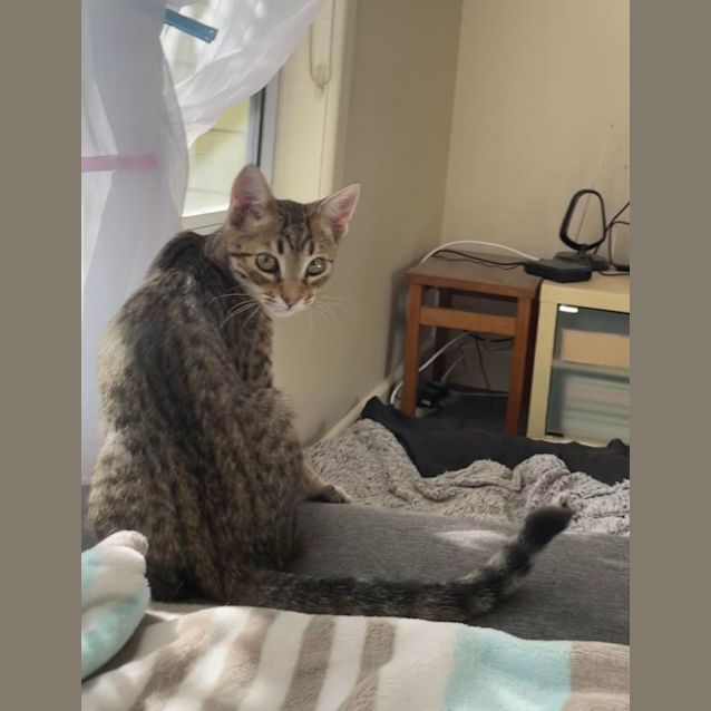 Photo of Mike & Millie