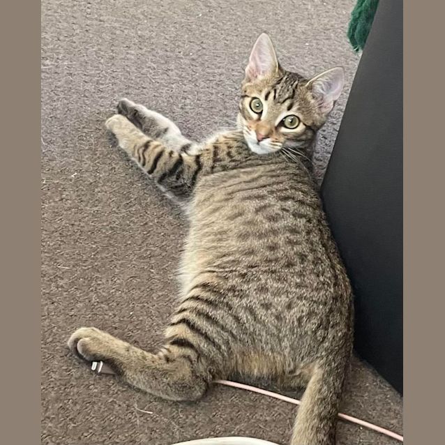 Photo of Mike & Millie