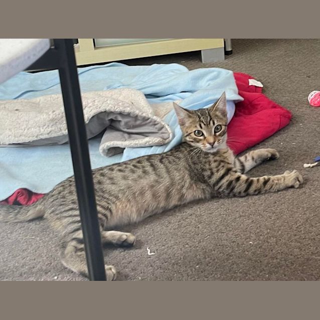 Photo of Mike & Millie