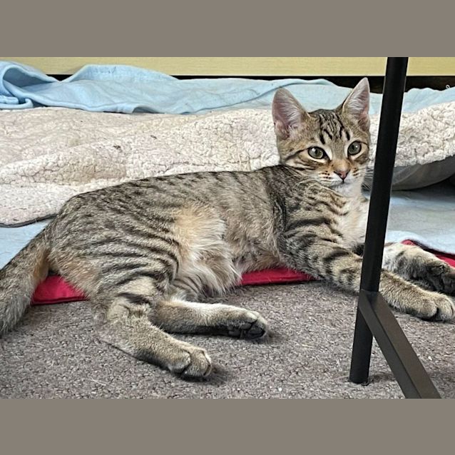 Photo of Mike & Millie