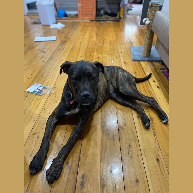 Photo of Betty