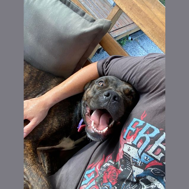 Photo of Betty