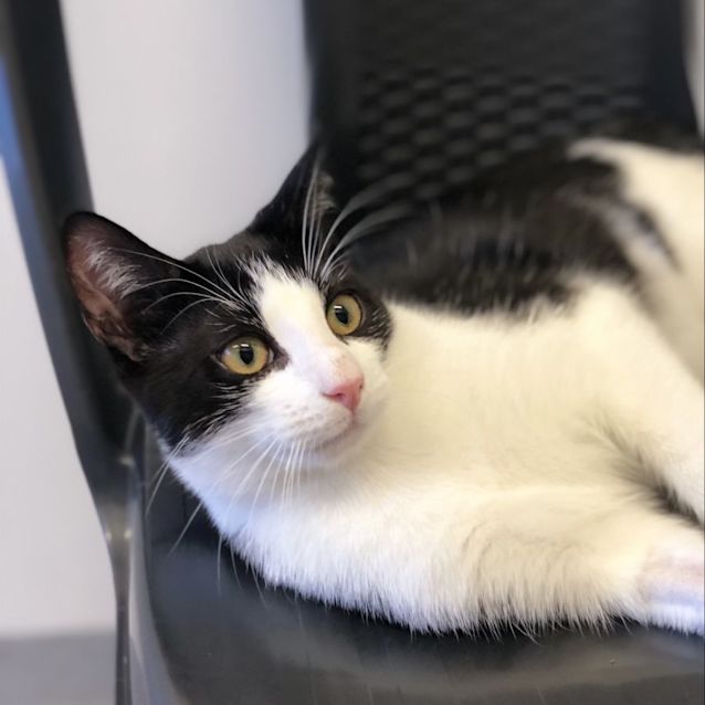 Photo of Bon & Scott