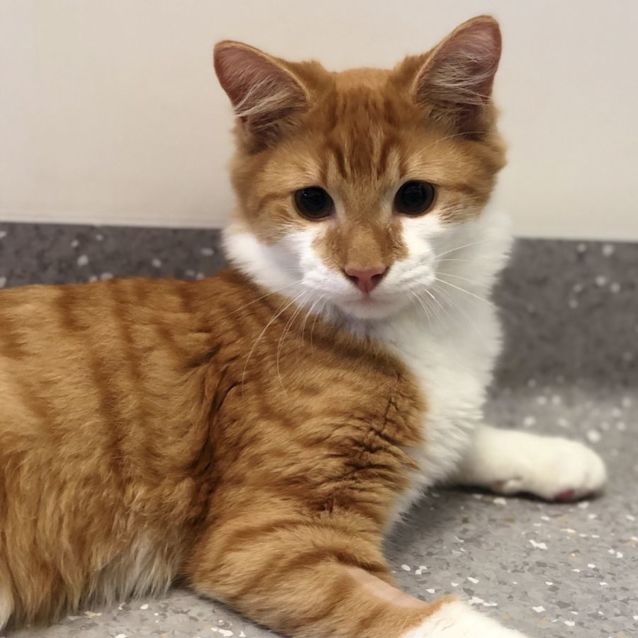 Photo of Bon & Scott