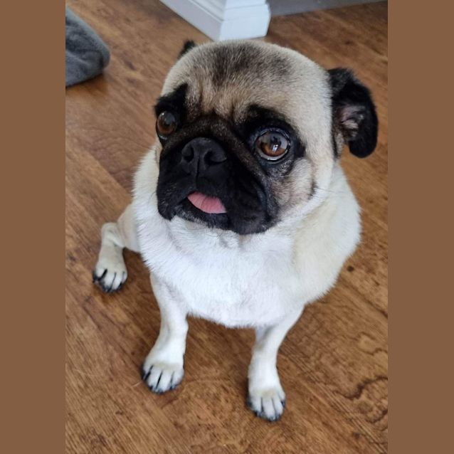 Photo of Reggie And Cleo