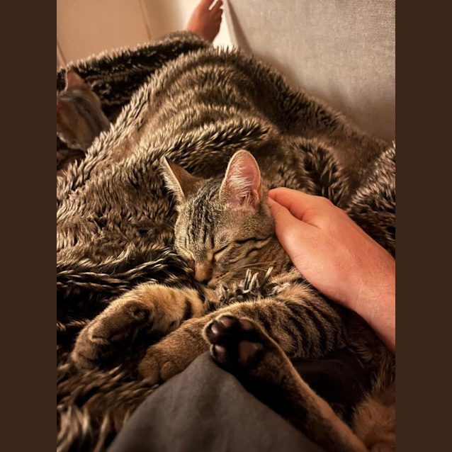 Photo of Nala And Diesel