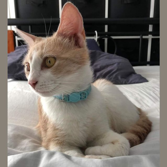 Photo of Livvy