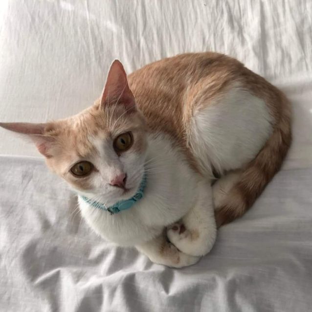 Photo of Livvy
