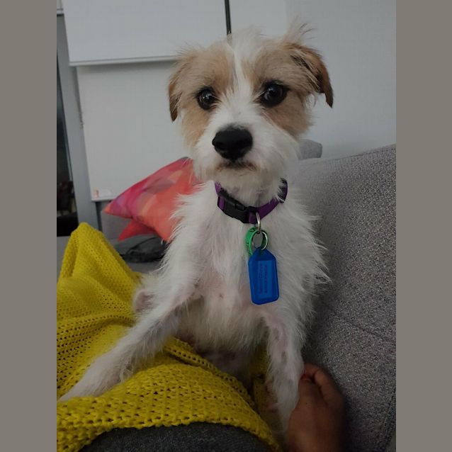 Photo of Macey
