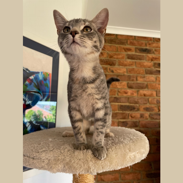 Photo of Jasmine