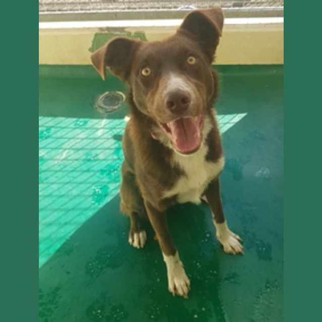 Photo of 59690   Ollie