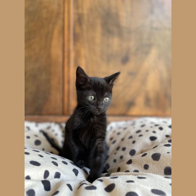 Photo of Valentina