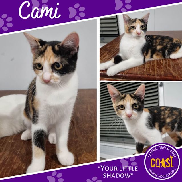 Photo of Cami