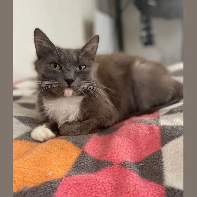 Photo of Haven (Located In South Morang)