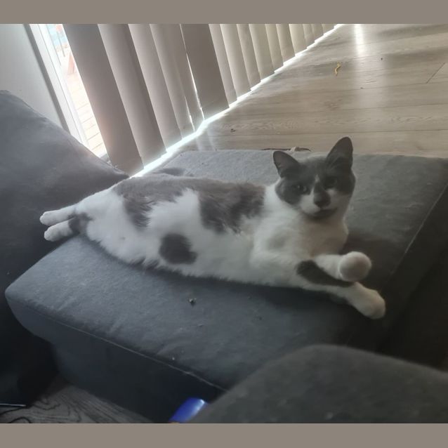 Photo of Ri Ri (Located In Pakenham)