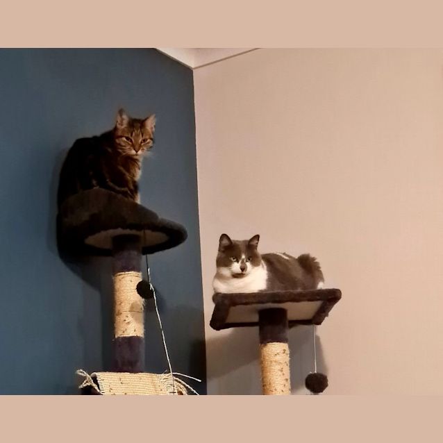 Photo of Ri Ri (Located In Pakenham)