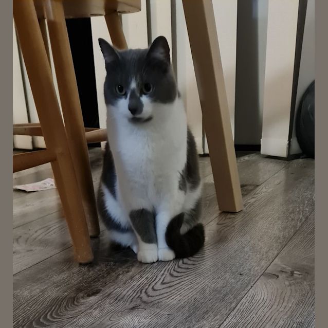 Photo of Ri Ri (Located In Pakenham)