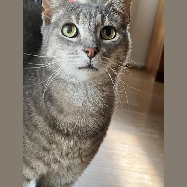 Photo of Big Earl Grey