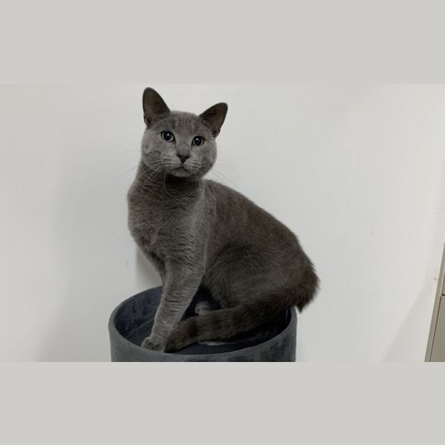Photo of Mitzy