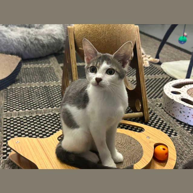 Photo of Holly 😻❤️😻