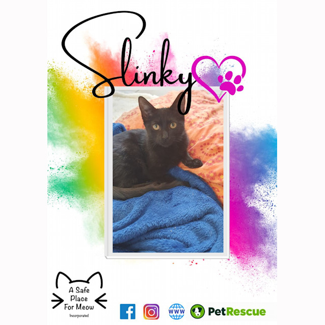 Photo of Slinky Malinky