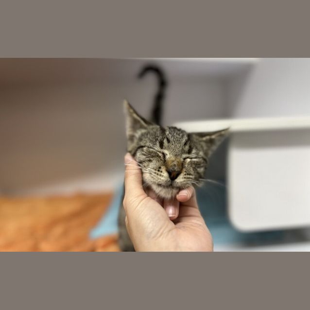 Photo of Orbit