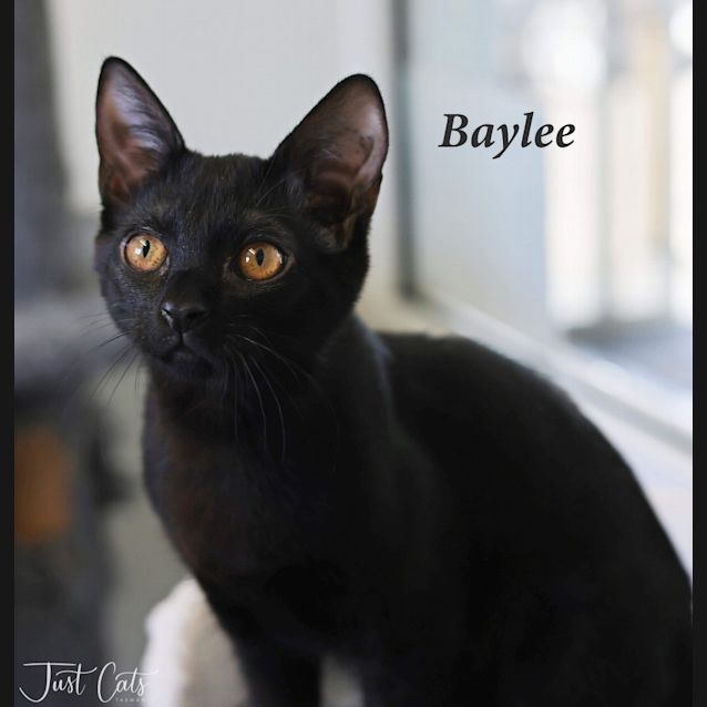 Photo of Baylee