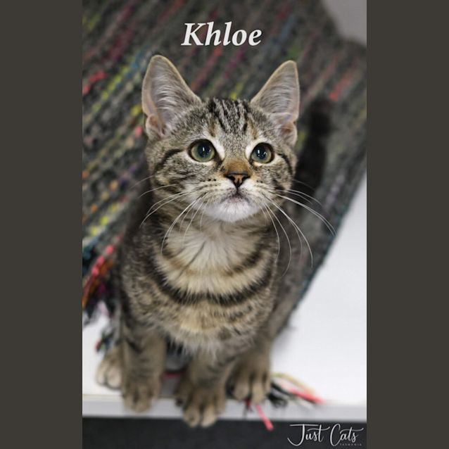 Photo of Khloe
