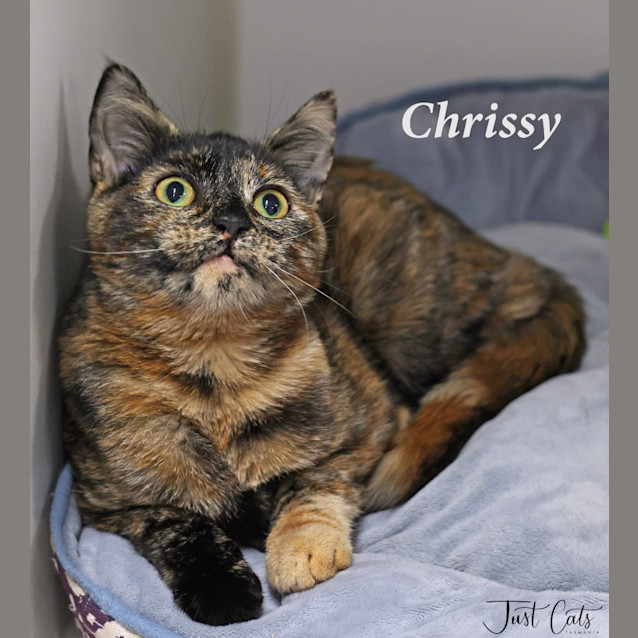 Photo of Chrissy
