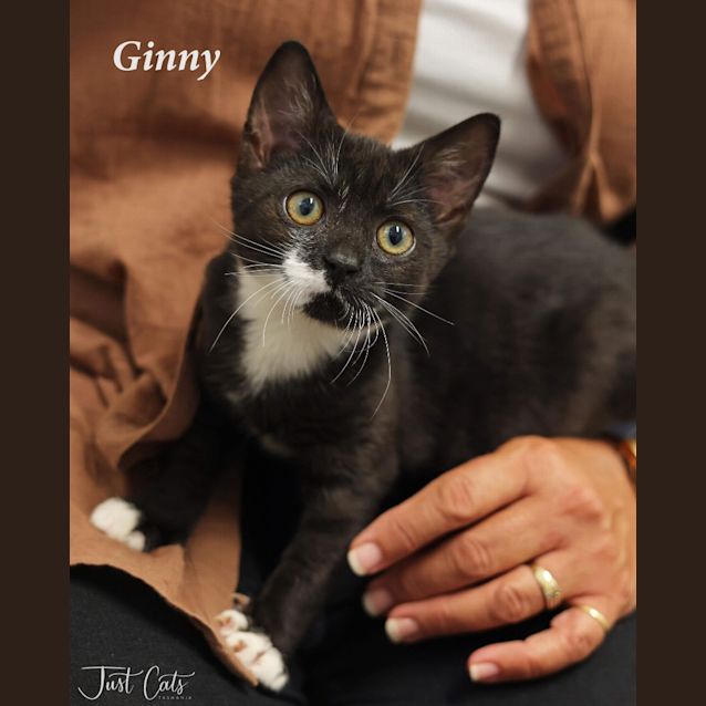 Photo of Ginny