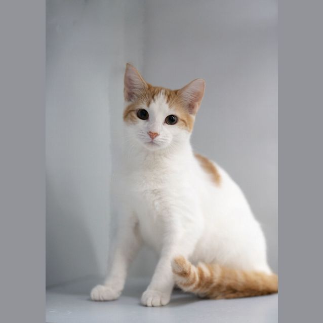 Photo of Victa And Vicky